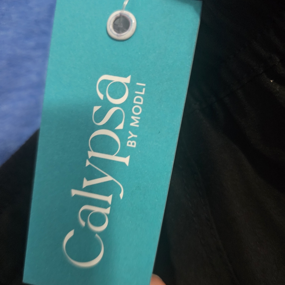 Calypsa by Modli Black Garment